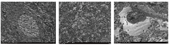11-28-090359-1178456853.png