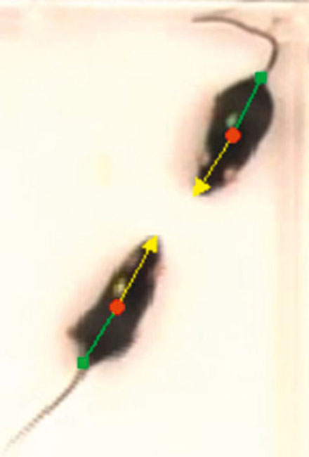 14-17-240275850407395.png