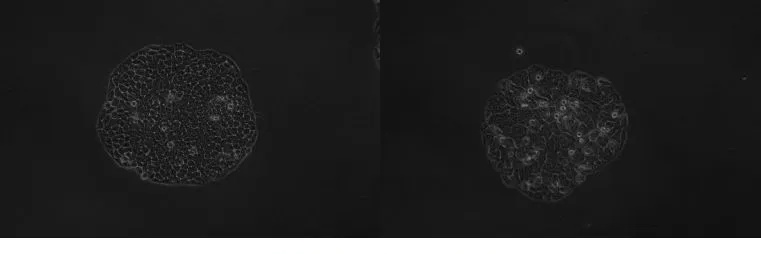 17-03-490525-123684706.png